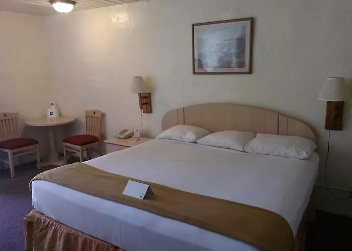 Motel Knights Page