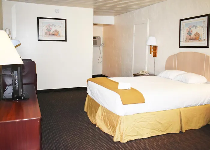 Motel Knights